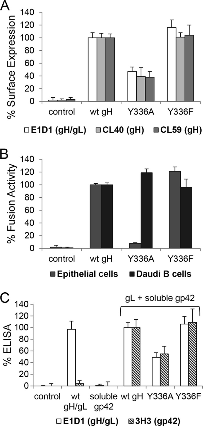 FIG 6