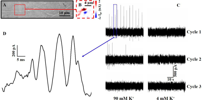 Fig. 4.