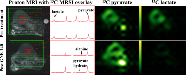 graphic file with name nihms-1768935-f0006.jpg