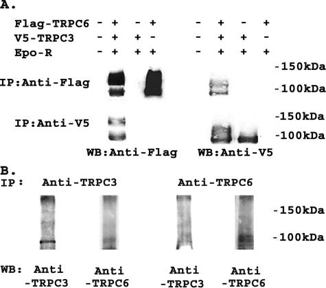 FIGURE 9.