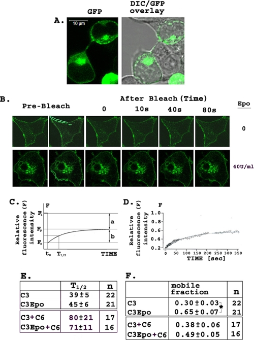 FIGURE 12.