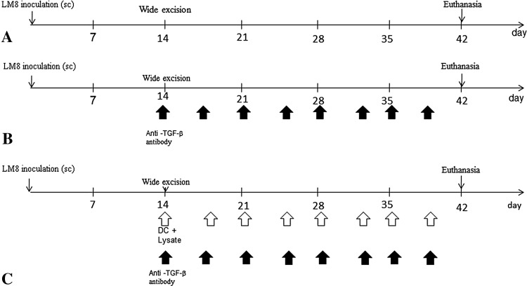 Fig. 1A–C