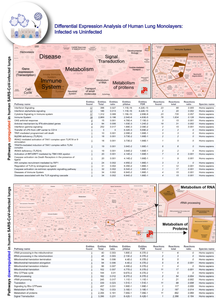 Figure 5—figure supplement 2.