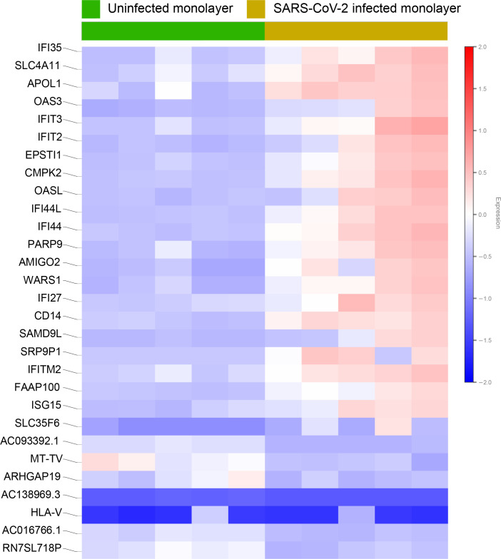 Figure 5—figure supplement 1.