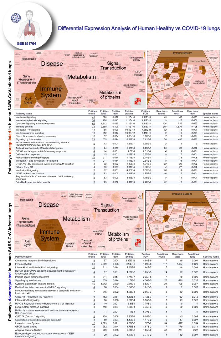 Figure 4—figure supplement 2.