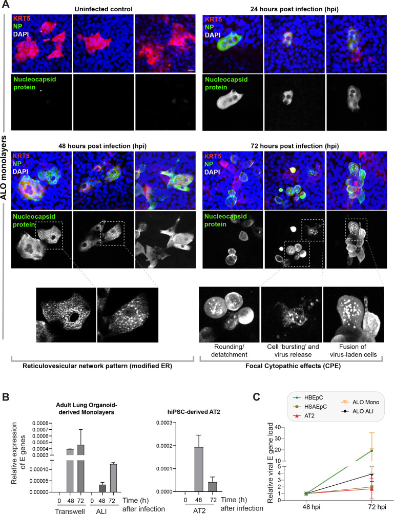 Figure 3—figure supplement 3.