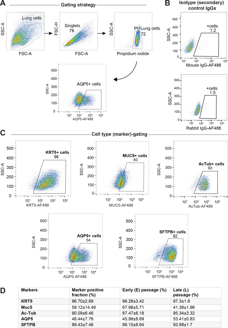 Figure 2—figure supplement 5.