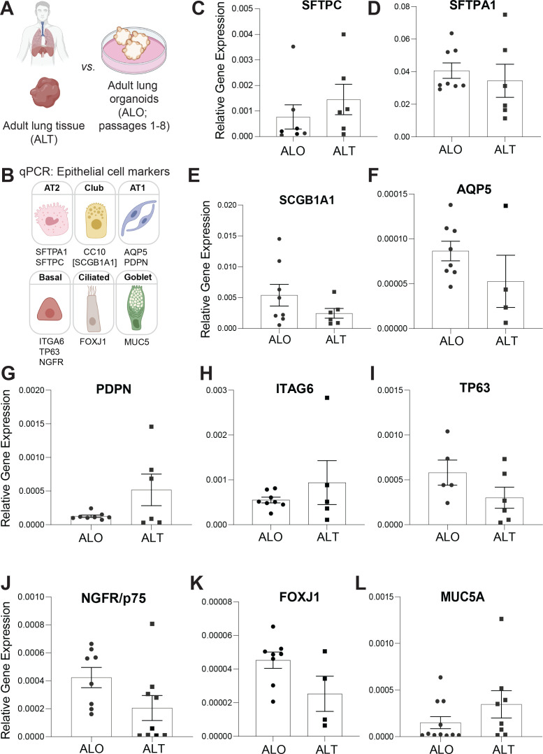 Figure 2—figure supplement 3.