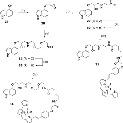 Scheme 3