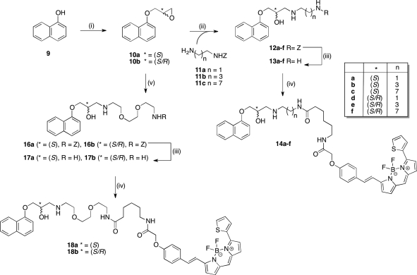 Scheme 1