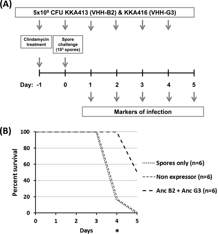 FIG 4