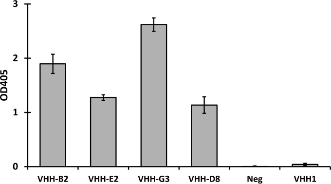 FIG 2