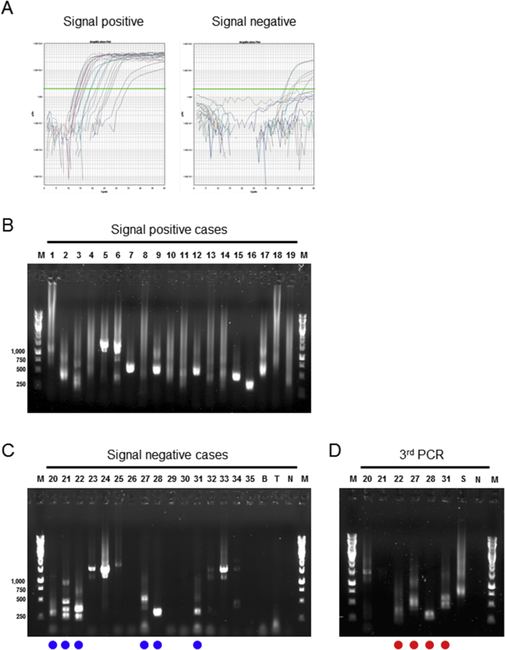 Supplemental Figure S3