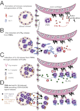Fig. P1.