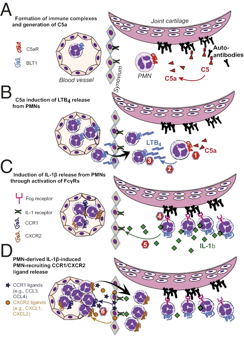 Fig. P1.