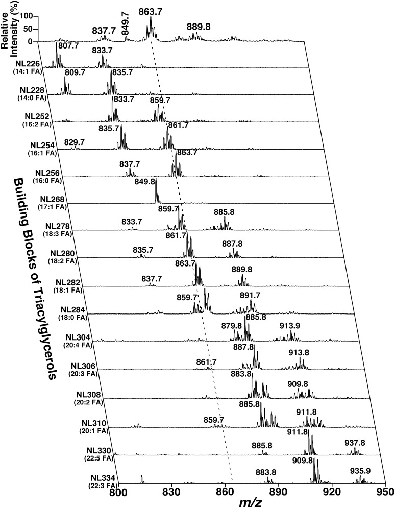 Fig. 3.