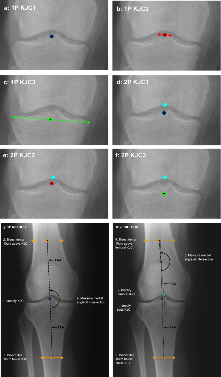 Fig. 2