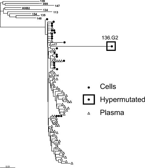 FIG. 1.