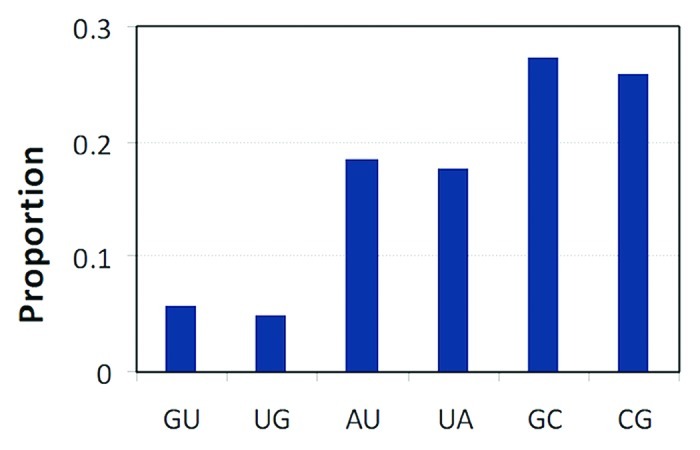 graphic file with name rna-10-211-g1.jpg