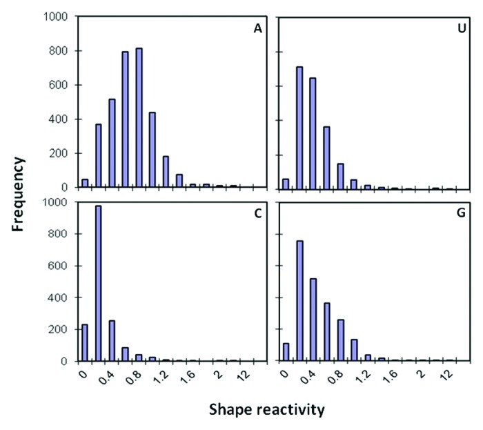 graphic file with name rna-10-211-g2.jpg