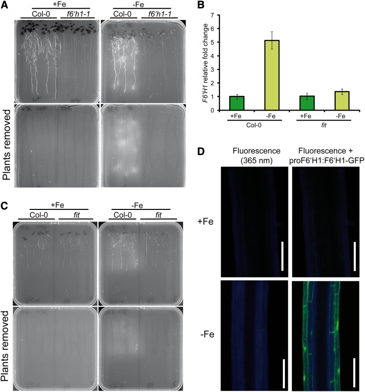 Figure 3.