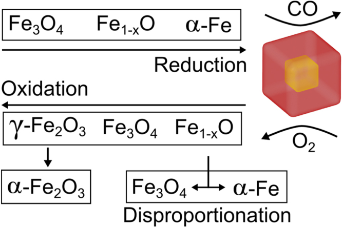 Figure 5.