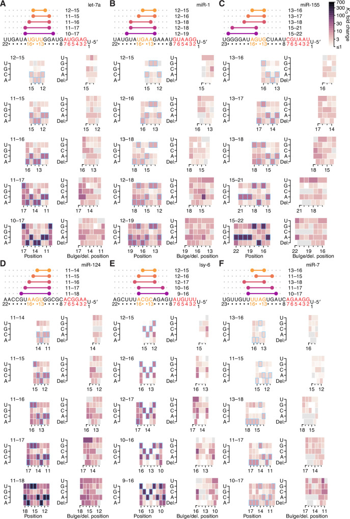 Figure 7—figure supplement 2.