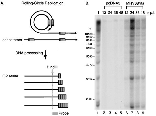 FIG. 6