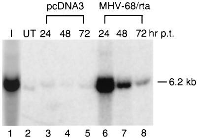 FIG. 5