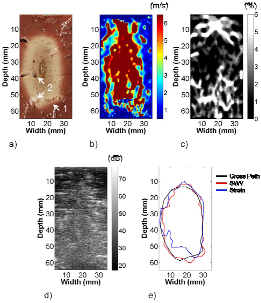 Fig. 10