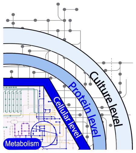 graphic file with name nihms882565u1.jpg