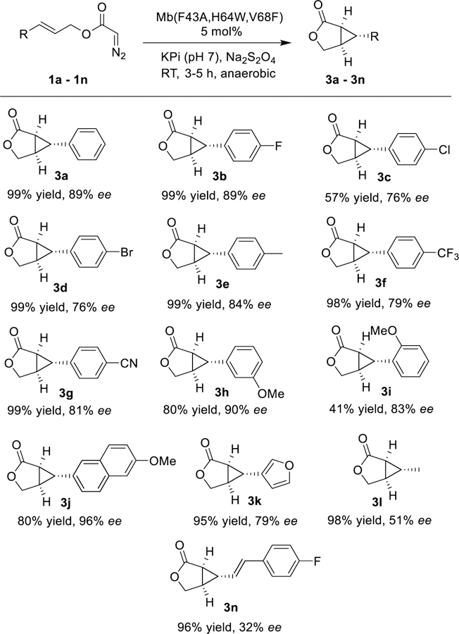 Scheme 2