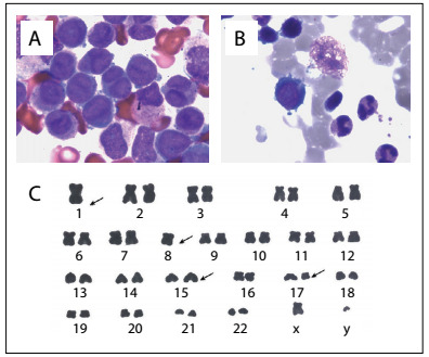 Figure 1: