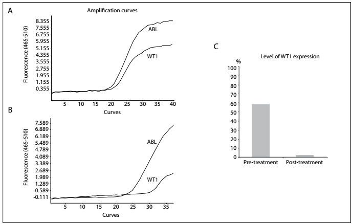 Figure 2: