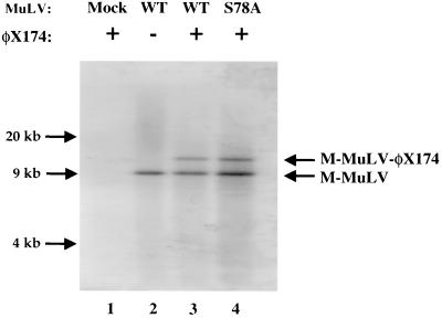 FIG. 9.