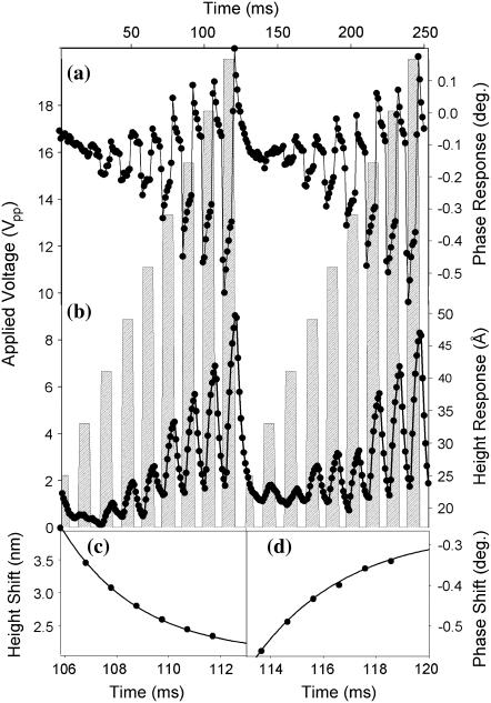 FIGURE 4