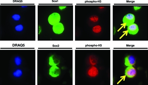 FIG. 4.