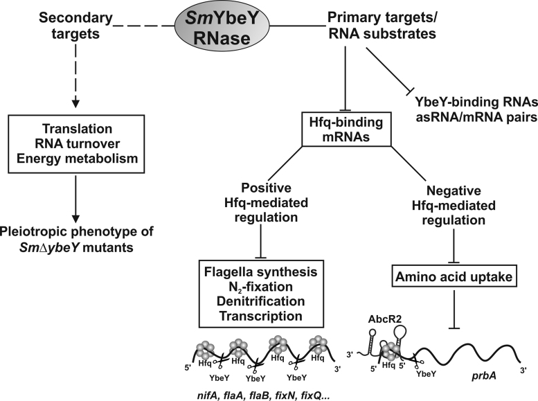 Figure 10.