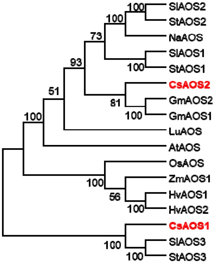 Figure 1