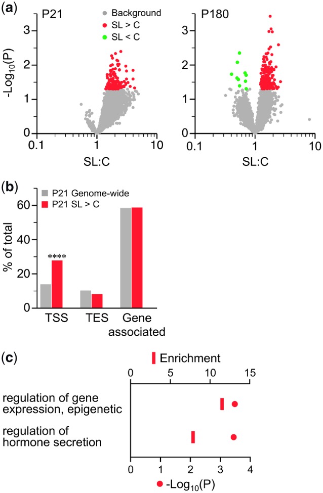 Figure 6: 