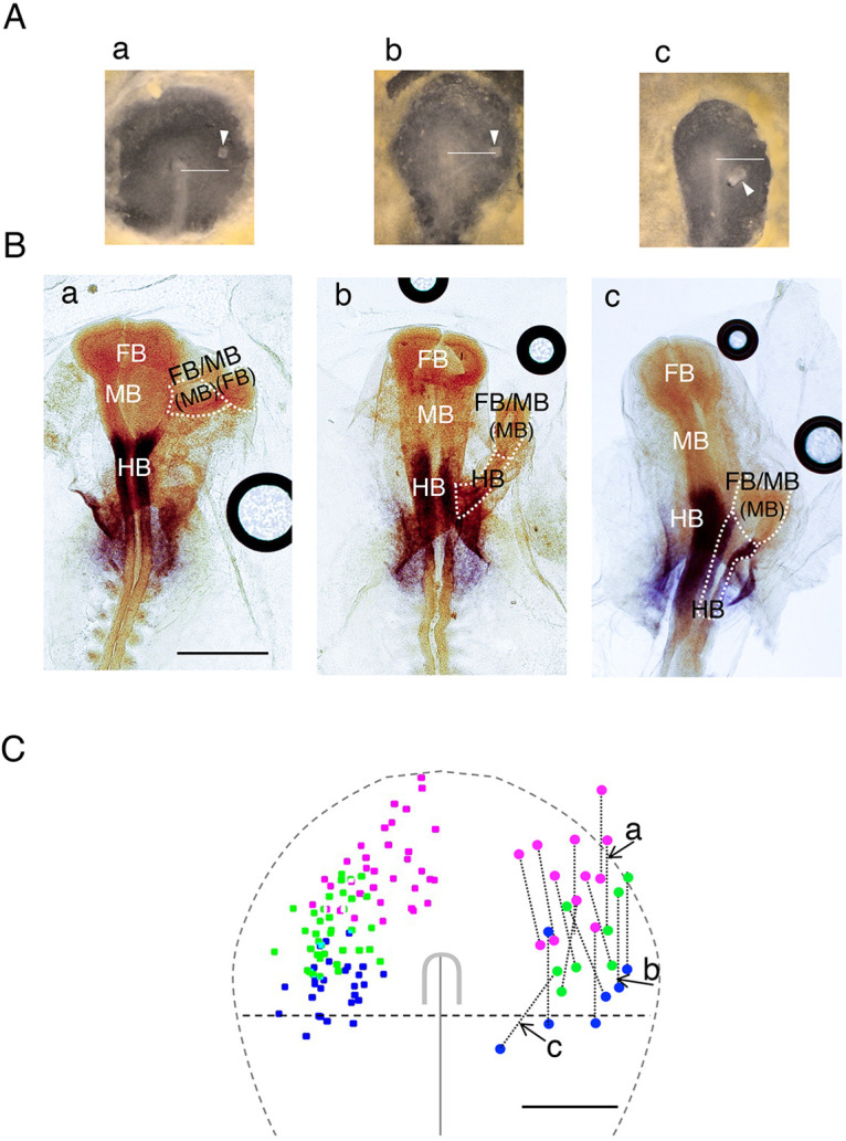 Fig. 6.