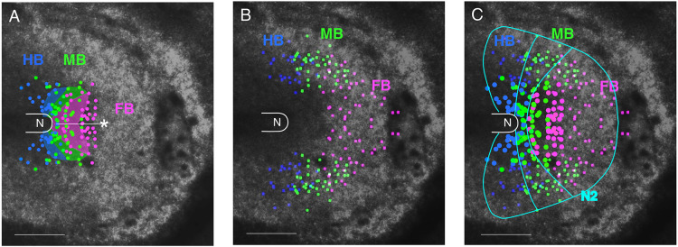 Fig. 4.