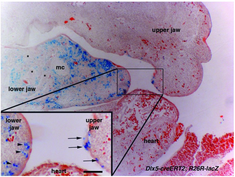 Figure 3. 