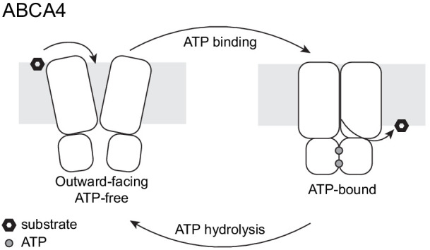 Figure 7.