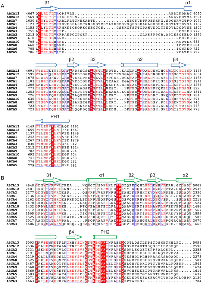 Figure 4—figure supplement 1.