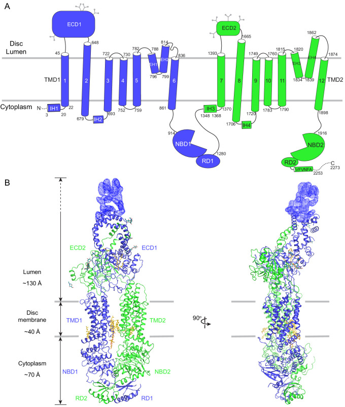 Figure 2.