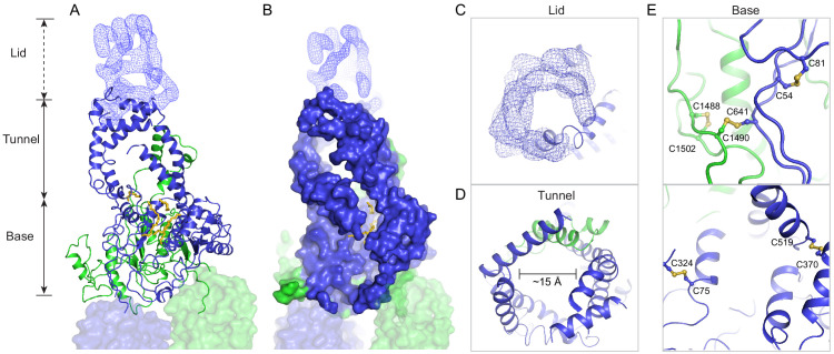 Figure 3.