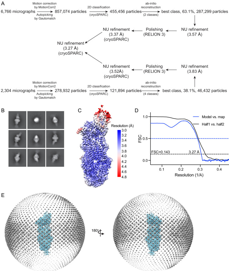 Figure 5—figure supplement 1.