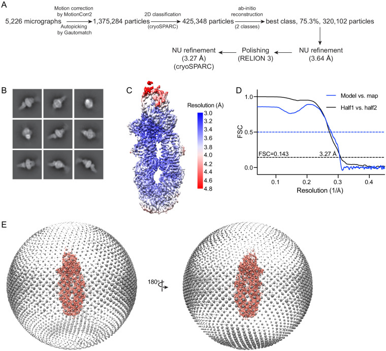 Figure 2—figure supplement 1.