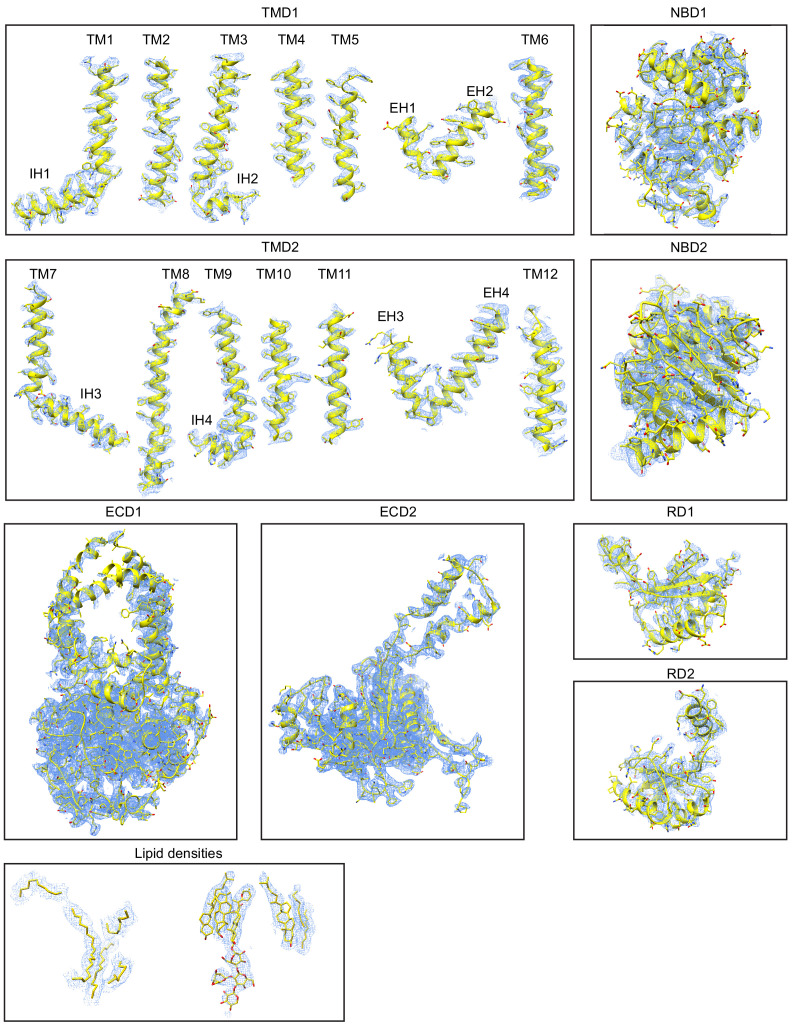 Figure 2—figure supplement 2.